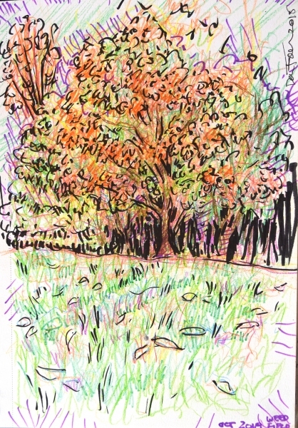 FallLeavesWeedfield