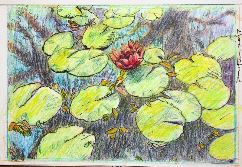 LotusFlower