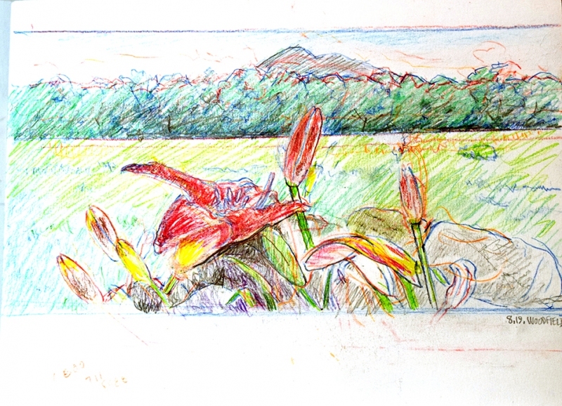 RedLilyPencil