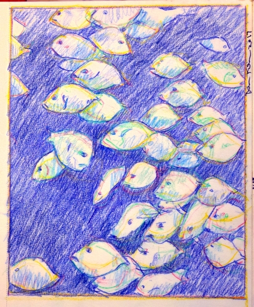 School-of-Fish